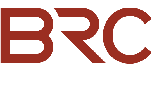 board risk committee logo reversed board risk committee logo reversed
